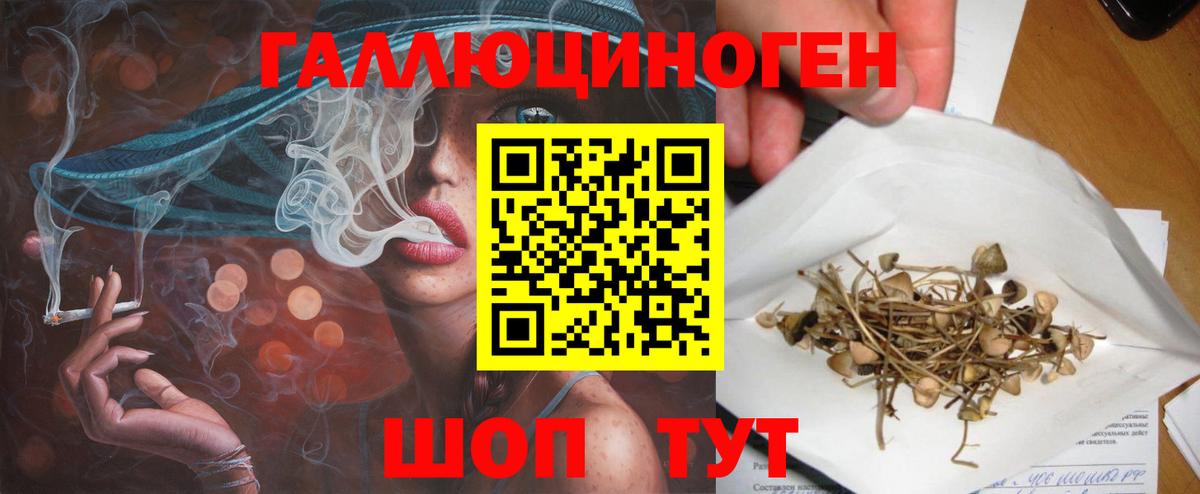 Муравленко  Псилоцибиновые грибы мухоморы  Вход с VPN 
